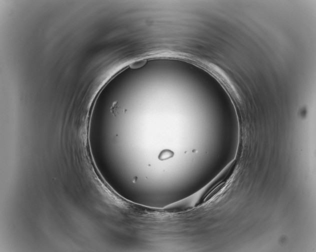 X0000099441244200805161126