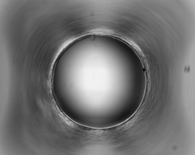 X0000099441248200805161126