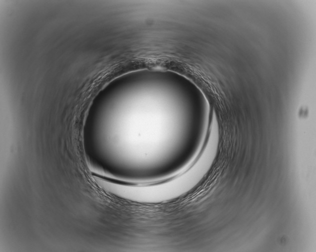 X0000099441249200805161125