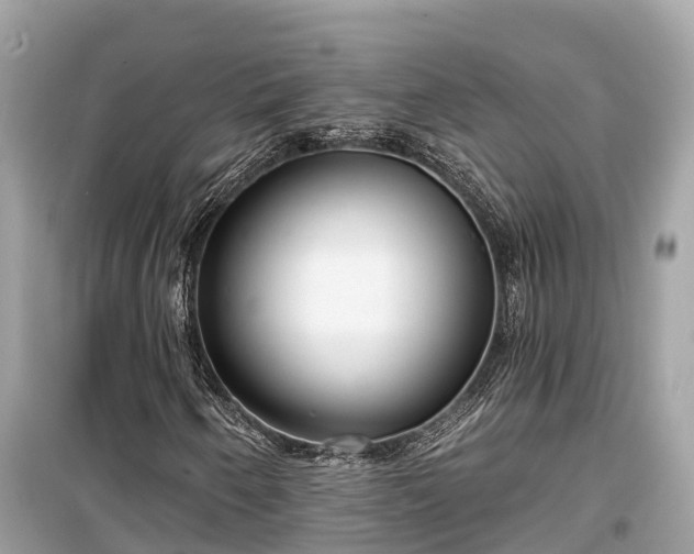 X0000099441250200805161125