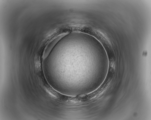 X0000099441252200805161125
