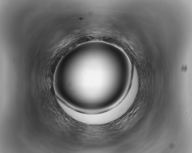 X0000099441253200805161125