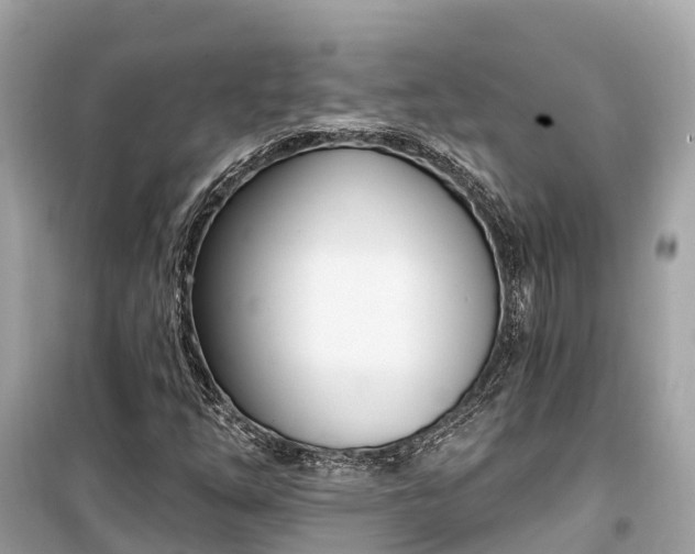 X0000099441254200805161125