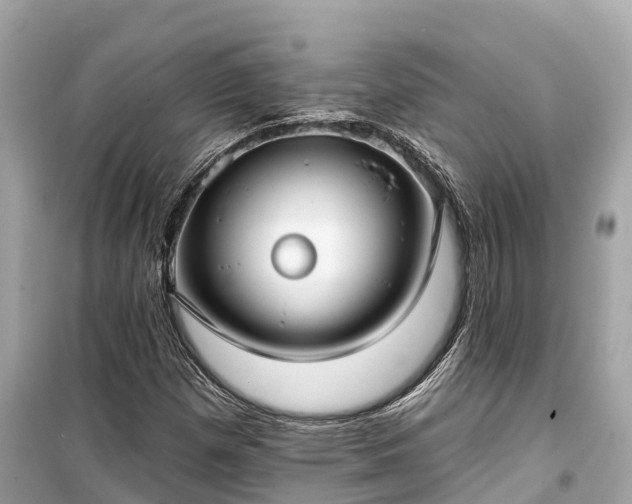X0000099441257200805161125