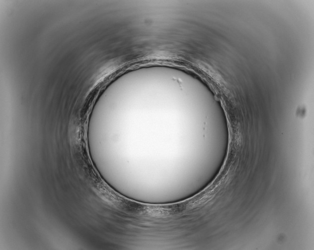 X0000099441258200805161125