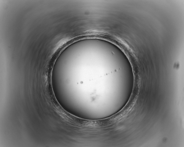 X0000099441259200805161125