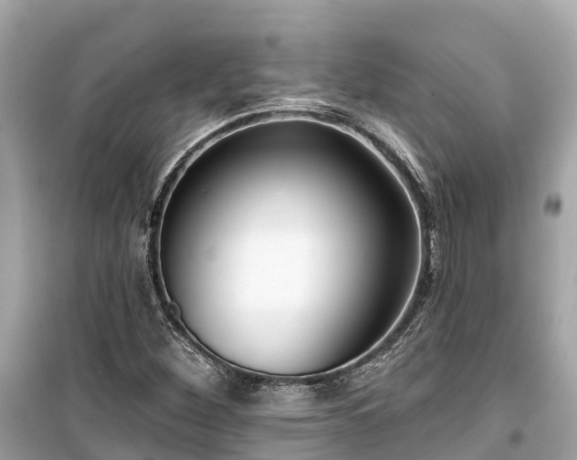 X0000099441260200805161125