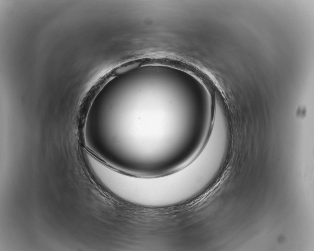 X0000099441263200805161125