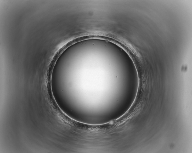 X0000099441264200805161125