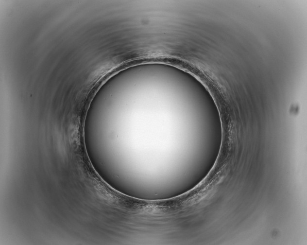 X0000099441265200805161125