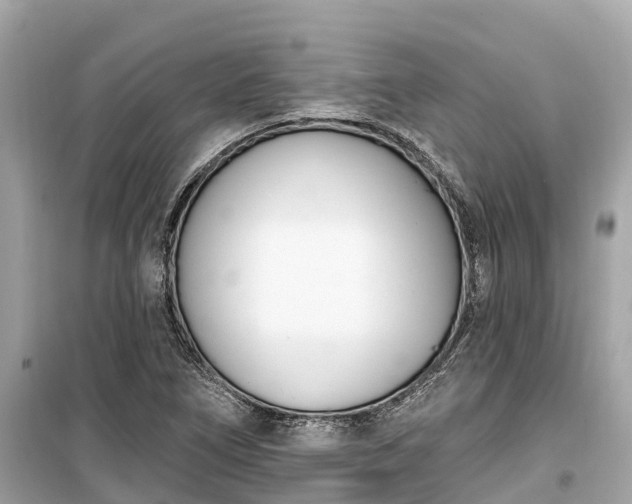 X0000099441266200805161125