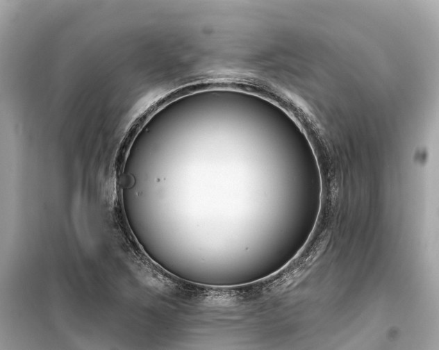 X0000099441267200805161125