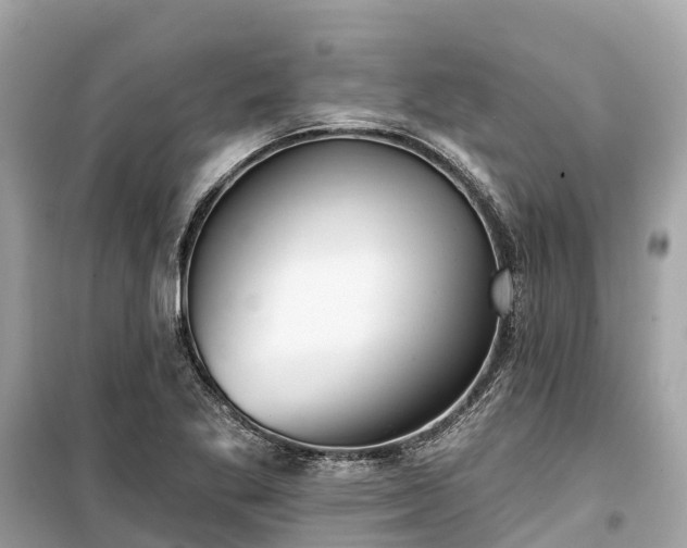 X0000099441269200805161125
