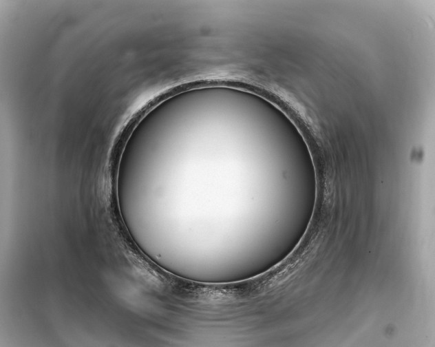 X0000099441270200805161125