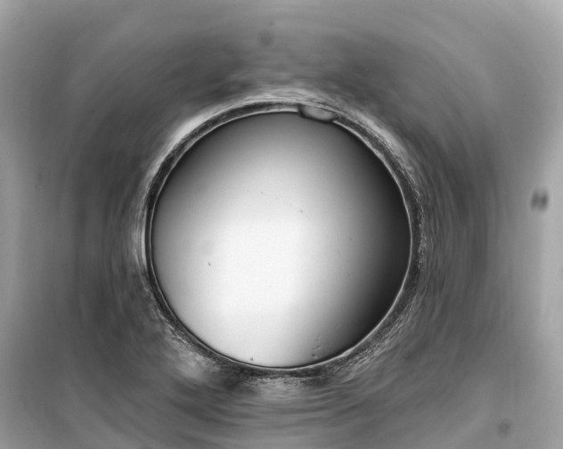 X0000099441272200805161125