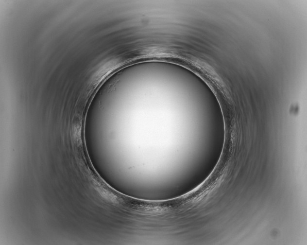 X0000099441273200805161125