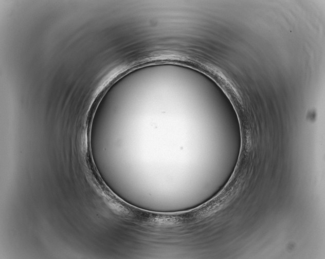 X0000099441274200805161125