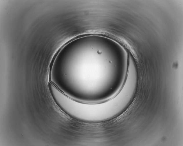 X0000099441276200805161125