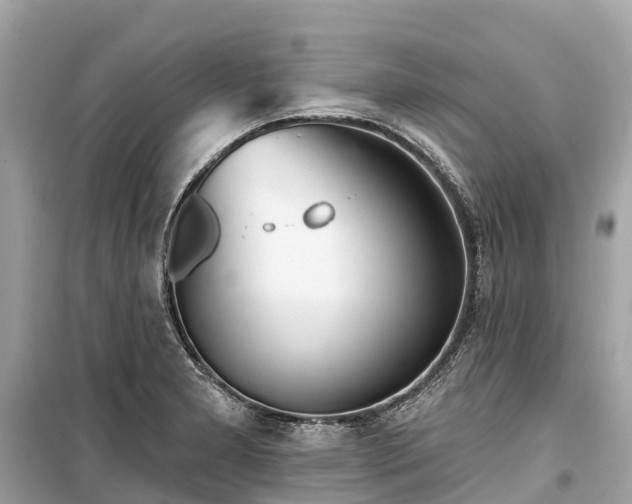 X0000099441277200805161125