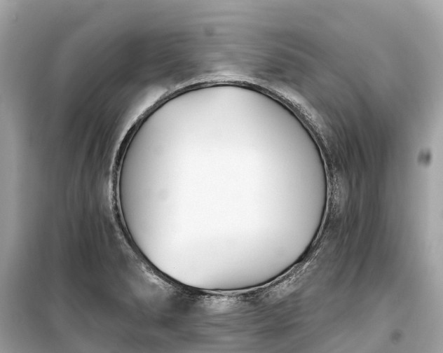 X0000099441278200805161125