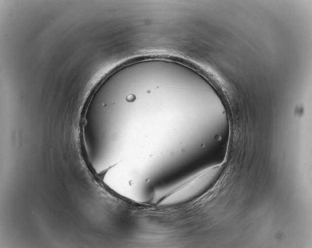 X0000099441279200805161125