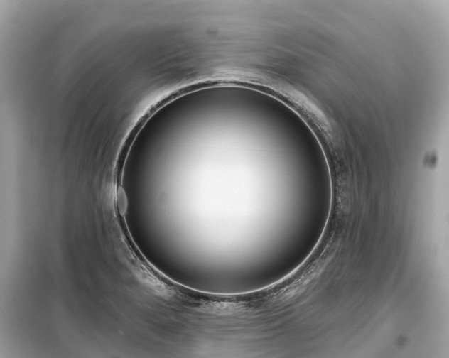 X0000099441280200805161125