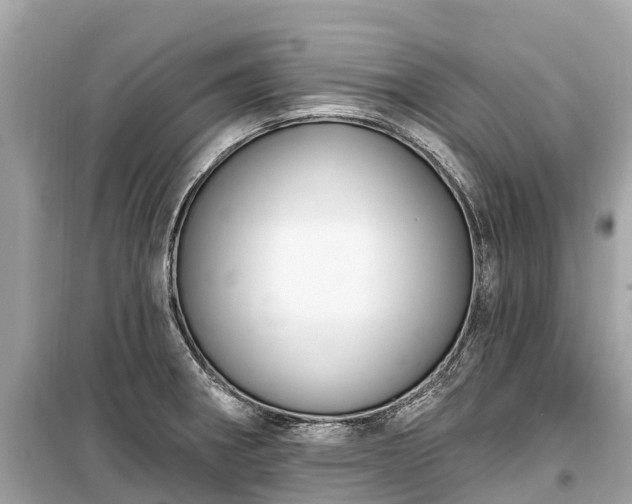 X0000099441282200805161125