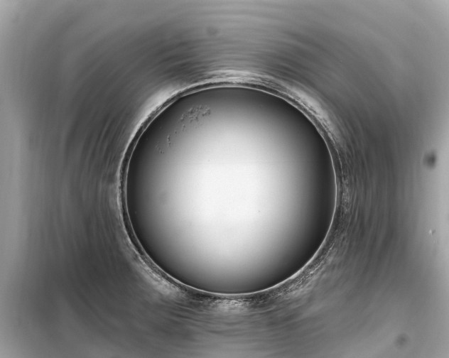 X0000099441283200805161125