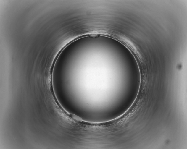 X0000099441284200805161125