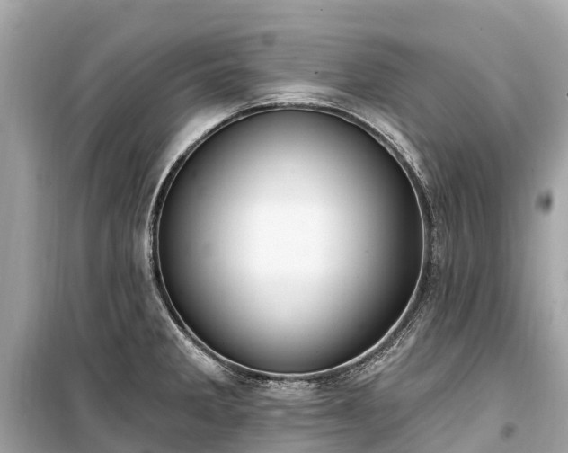 X0000099441285200805161125