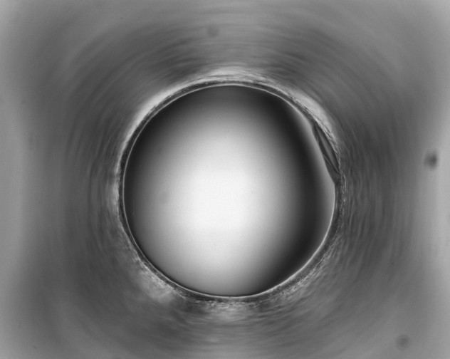 X0000099441288200805161125