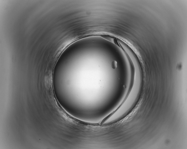 X0000099441289200805161125