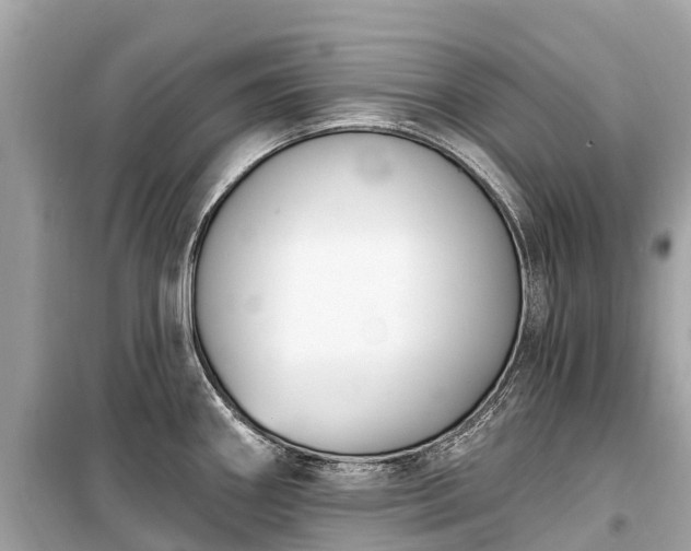 X0000099441290200805161125