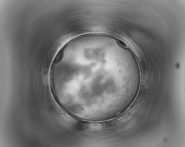 X0000099441291200805161125