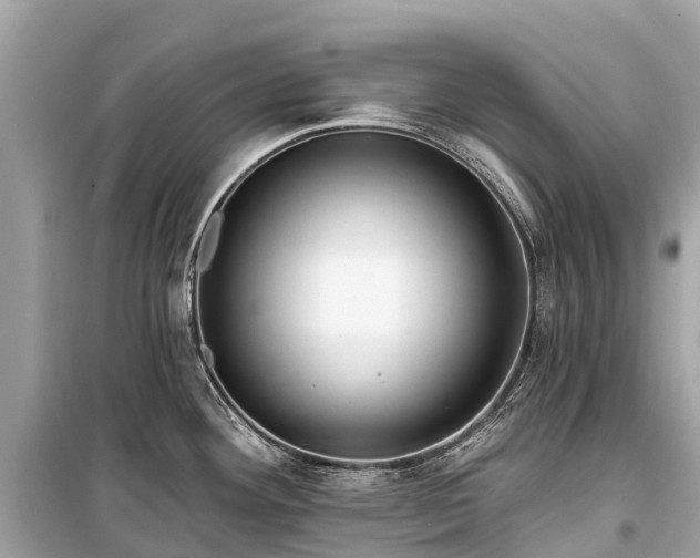 X0000099441292200805161125
