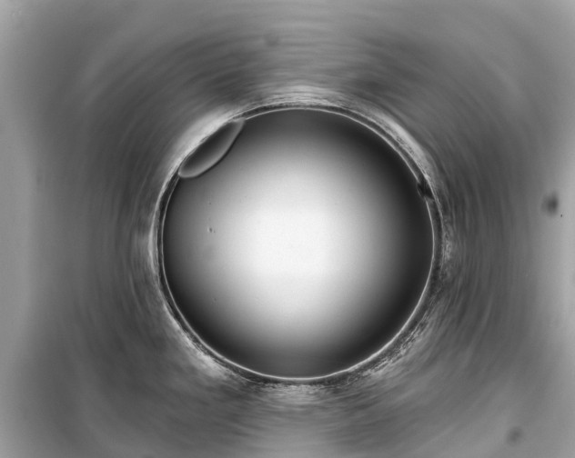 X0000099441293200805161125