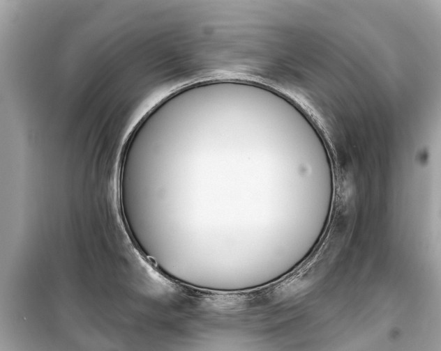 X0000099441294200805161125