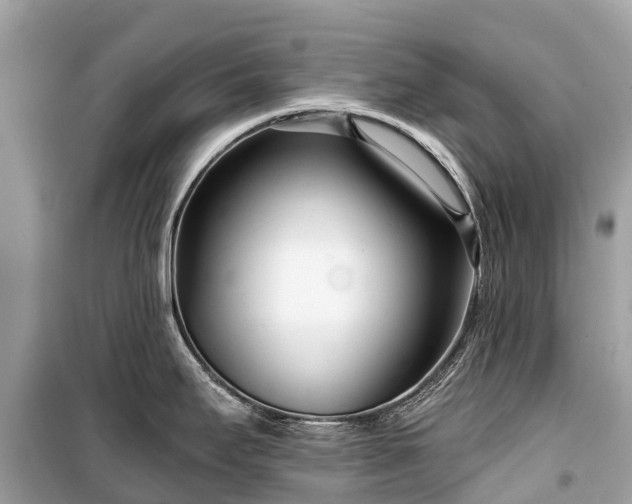X0000099441295200805161125