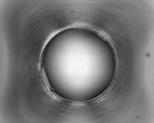 X0000099441296200805161125