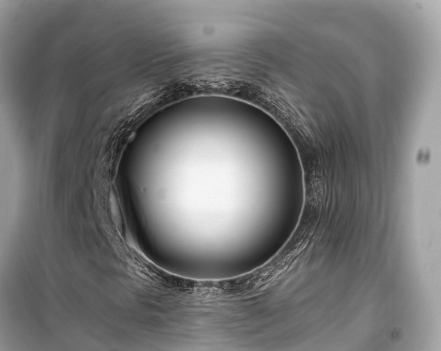 X0000099441297200805161124