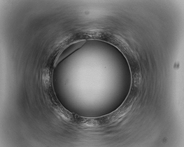 X0000099441298200805161124