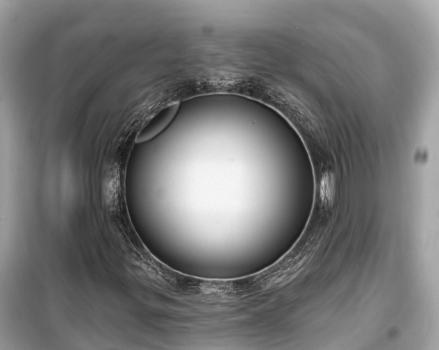 X0000099441299200805161124