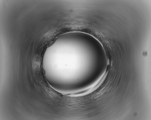 X0000099441300200805161124
