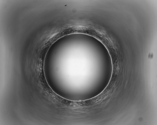 X0000099441301200805161124
