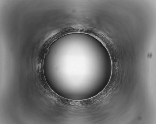 X0000099441302200805161124