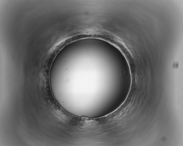 X0000099441304200805161124