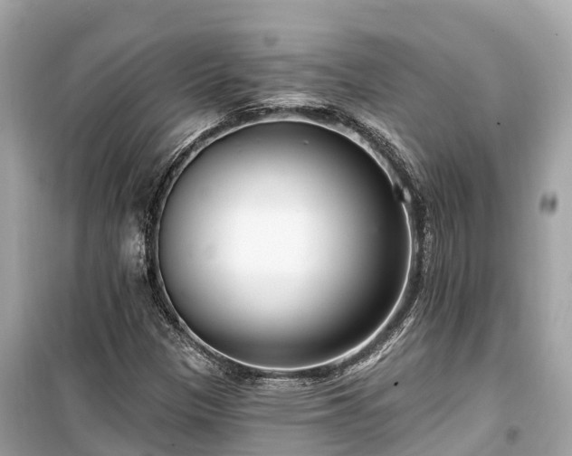 X0000099441305200805161124