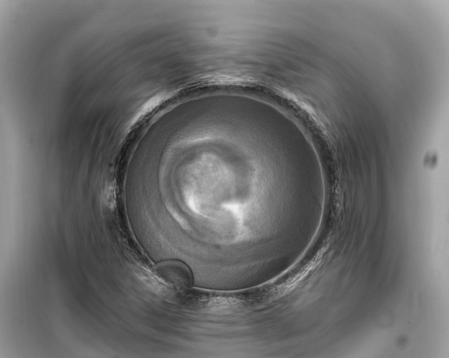 X0000099441306200805161124