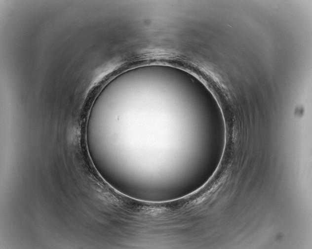 X0000099441309200805161124