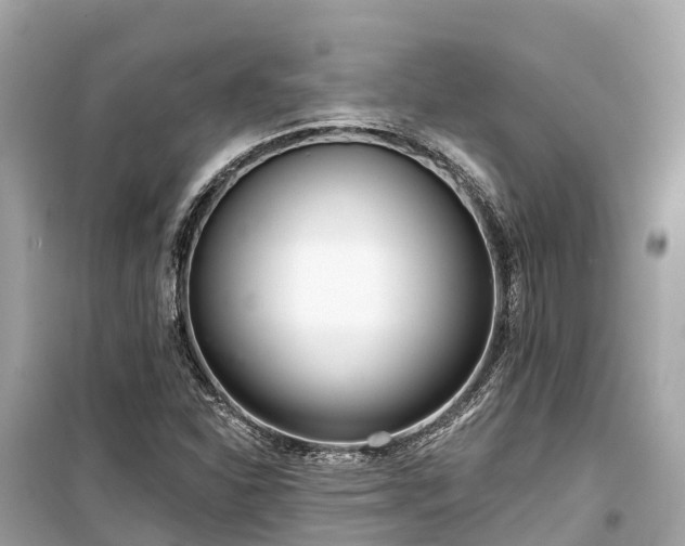 X0000099441310200805161124